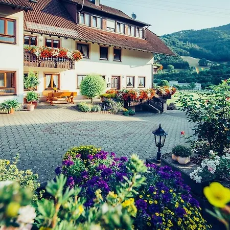 Bauernhof Schiebenrothenhof Simonswald