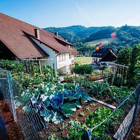 Schiebenrothenhof Bauernhof Simonswald