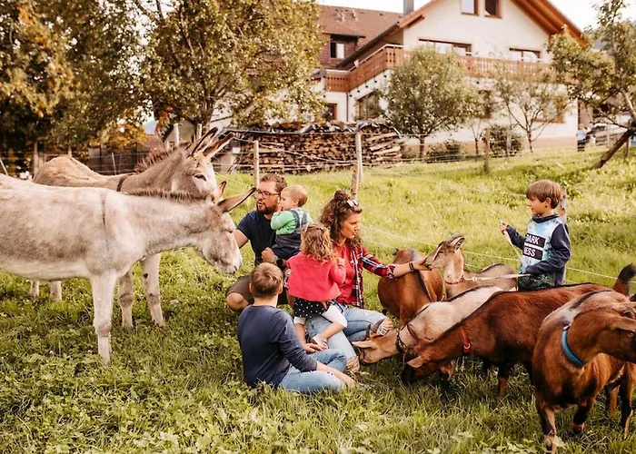 بيت ضيافة Schiebenrothenhof