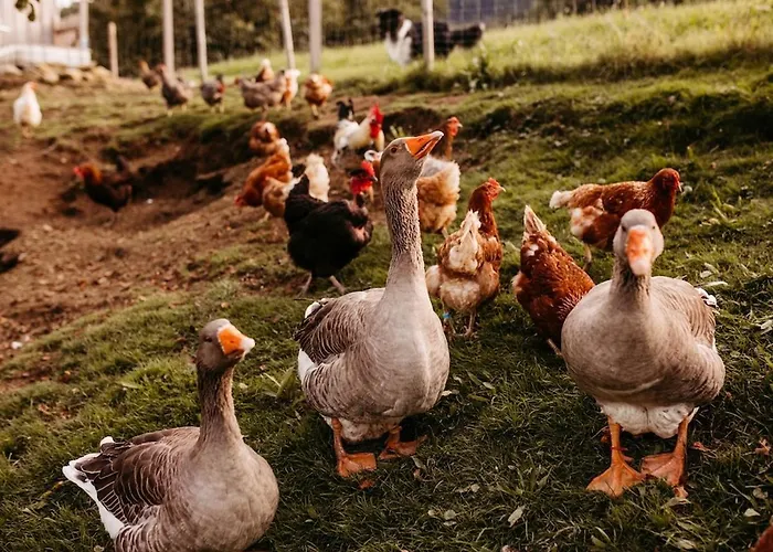 Schiebenrothenhof بيت ضيافة