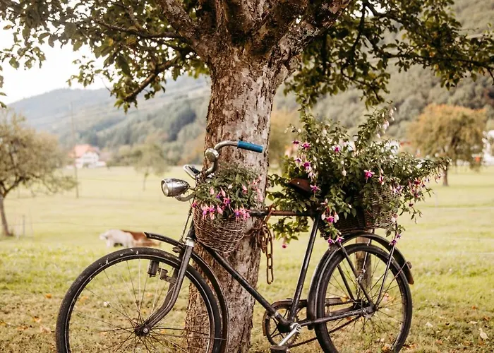 بيت ضيافة Schiebenrothenhof سيمونسوالد