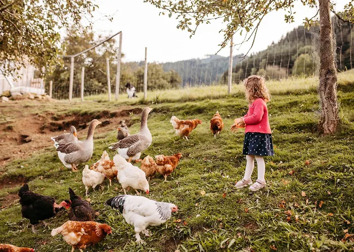 Schiebenrothenhof بيت ضيافة 3*