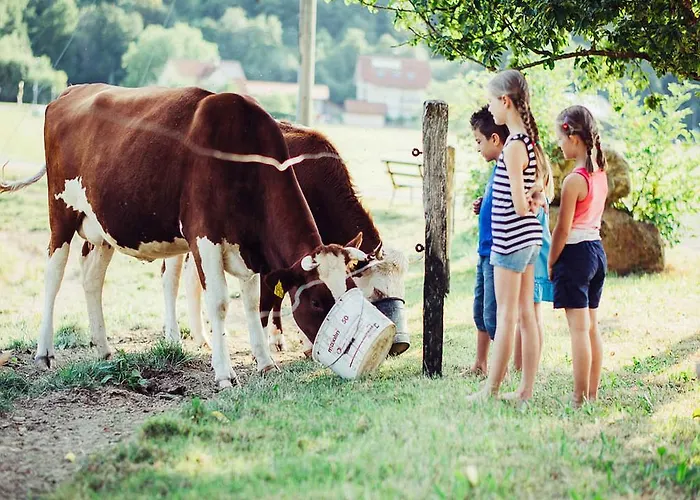 بيت ضيافة Schiebenrothenhof سيمونسوالد