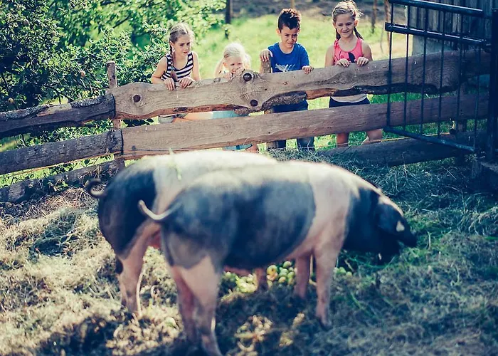 بيت ضيافة Schiebenrothenhof 3*